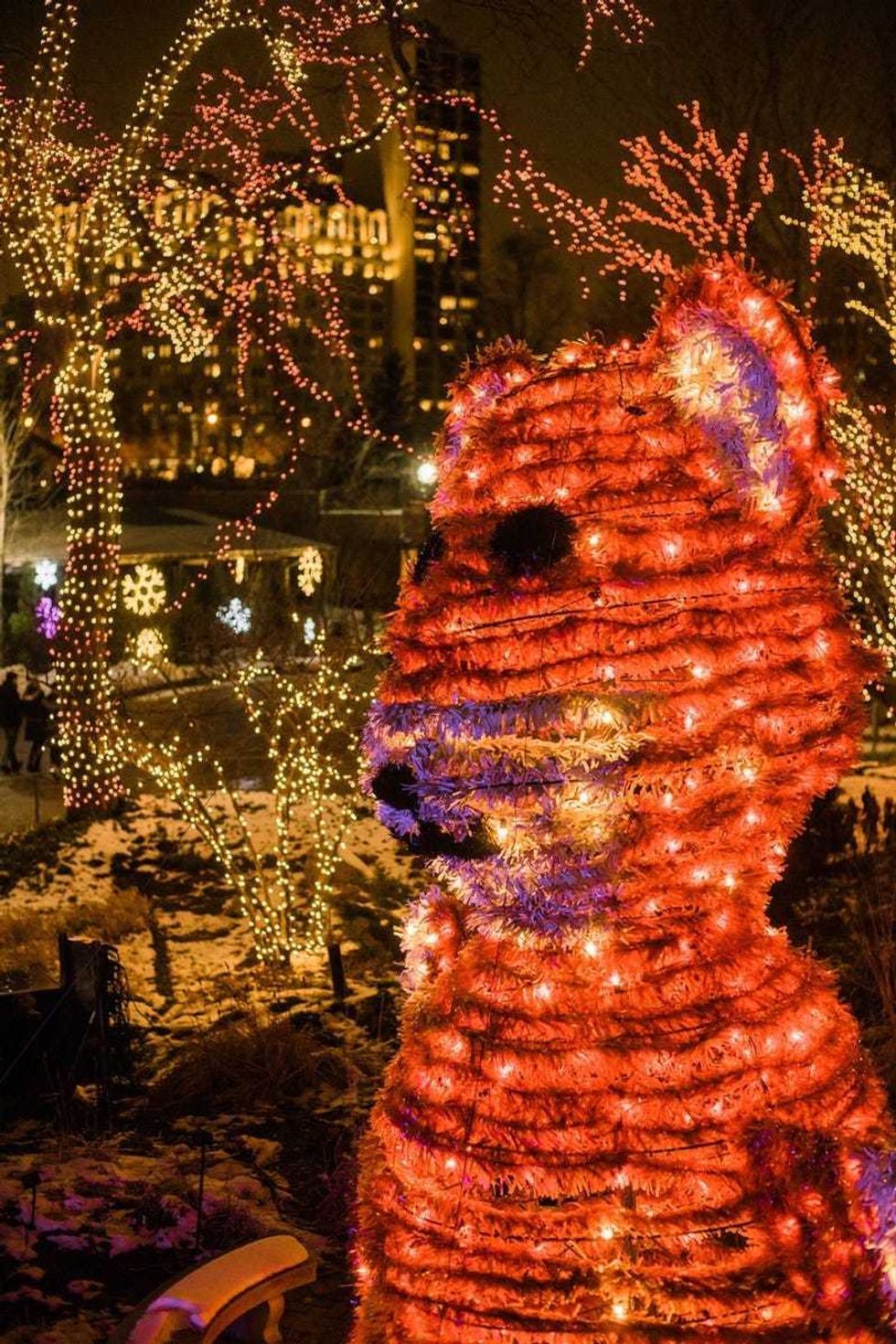 ZooLights at Lincoln Park Zoo