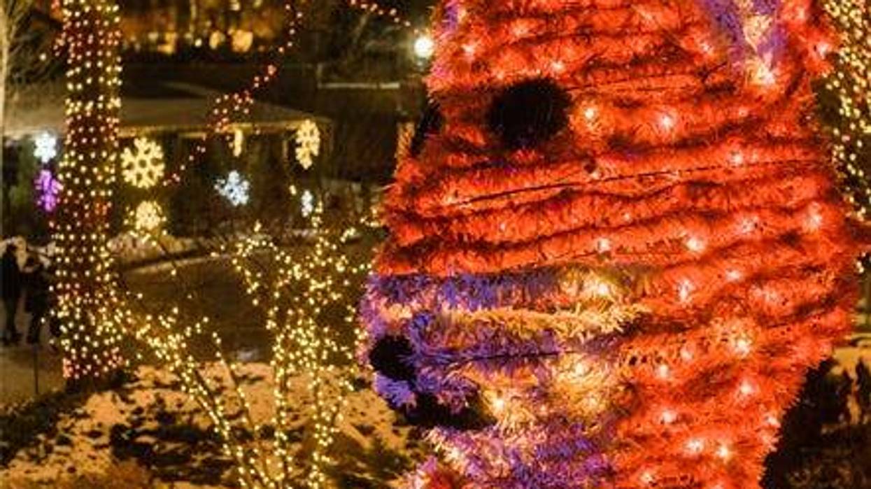 ZooLights Lincoln Park Zoo