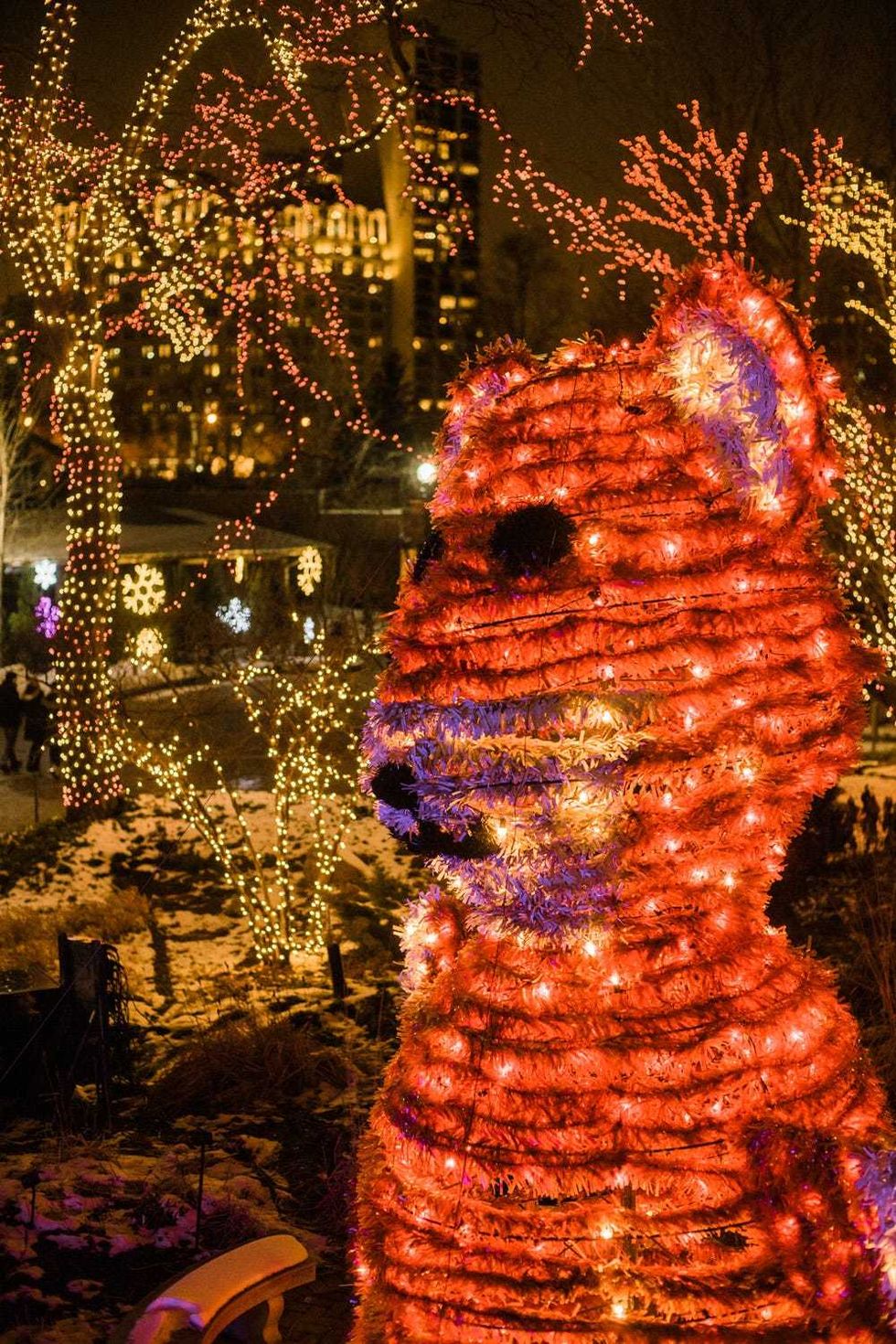 ZooLights returns Saturday, Nov. 20, transforming Lincoln Park Zoo into a twinkling winter wonderland, complete with festive activities, such as visits with Santa, a holiday pop-up bar, an Enchanted Forest, Light Maze, sweet treats of all kinds, and much more.