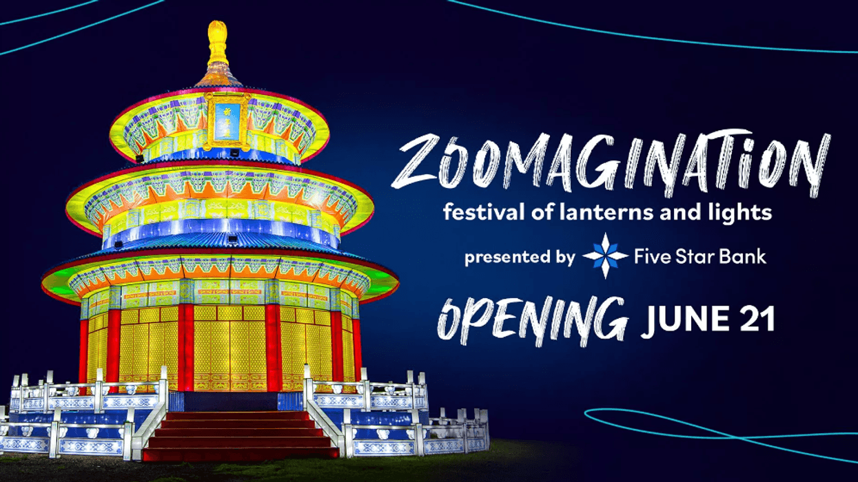 Zoomagination 2023